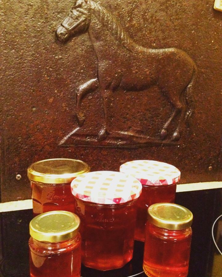 Chez L'Antiquaire Bed and Breakfast Hauterives Εξωτερικό φωτογραφία