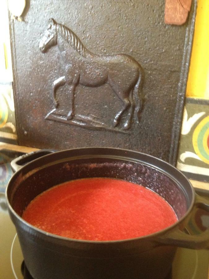 Chez L'Antiquaire Bed and Breakfast Hauterives Εξωτερικό φωτογραφία
